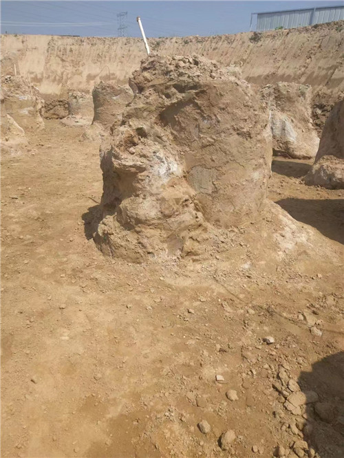 泰安水蜜桃一三四专区